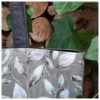 Tas Geesje - Afbeelding 3